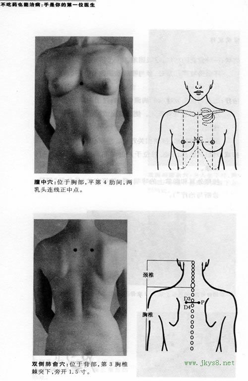 肺俞穴位置