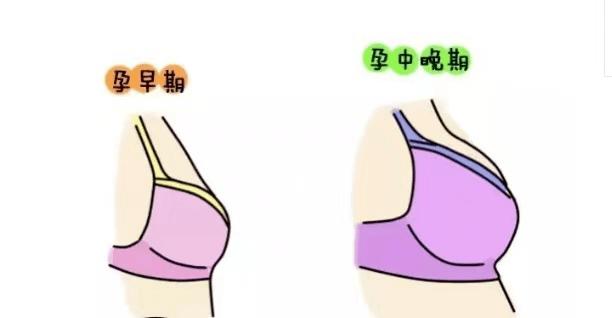 為什么女人的乳頭會(huì)變黑？