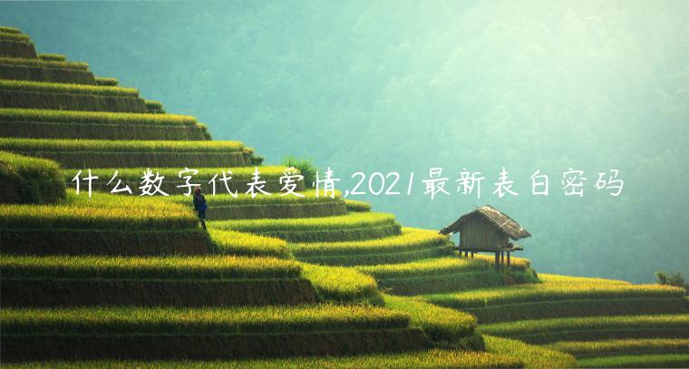 什么數(shù)字代表愛情,2021最新表白密碼