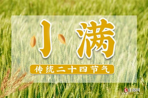 小滿節(jié)氣養(yǎng)生(小滿節(jié)氣養(yǎng)生重點(diǎn))