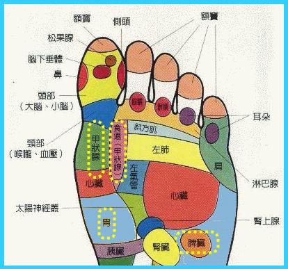 按摩腳底穴位反射區(qū)療效好不好？