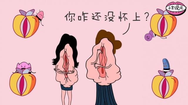 女性私處有哪些種類？女性私處一般有六種類型