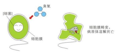 臭氧的作用與功效及副作用_臭氧的作用與功效及副作用是什么