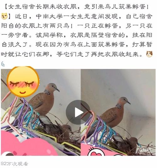 為什么女生喜歡吃男生的小鳥？