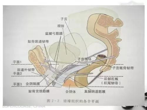 射在里面是什么意思？陰道的內(nèi)部是什么？