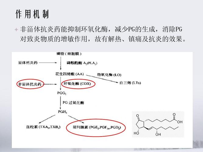 非甾體類藥的作用及副作用-非甾體類藥的作用及副作用有哪些