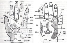 植物神經(jīng)失調(diào)