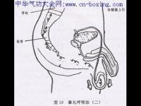 如何做到交而不泄 如何訓(xùn)練而不泄而不泄