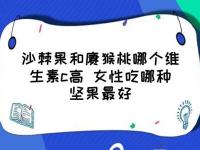 沙棘果和獼猴桃哪個維生素c高(沙棘果油和維生素吃哪個好)