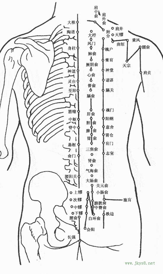 身體背部穴位圖