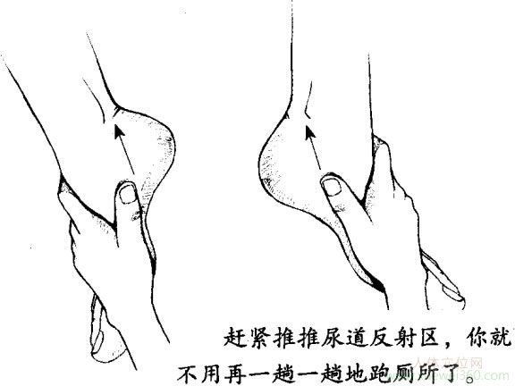 足部尿路感染反射區(qū)