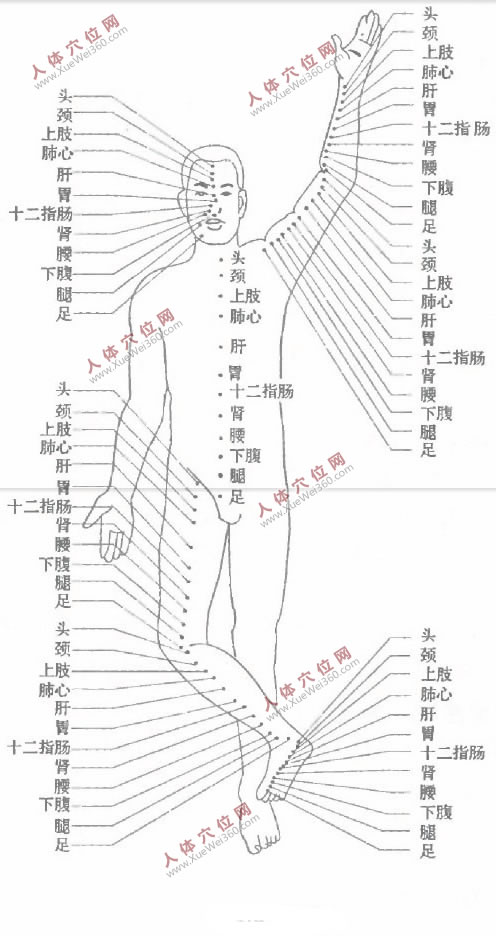 102個(gè)全息穴位系統(tǒng)