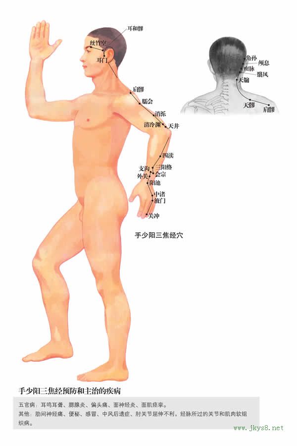 顱息穴：三焦經(jīng)(圖文)