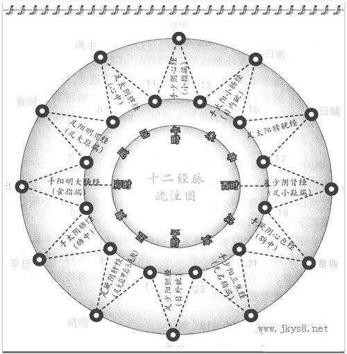 十二經(jīng)脈流注圖