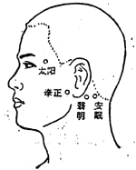 牽正穴位位置圖-人體穴位查詢