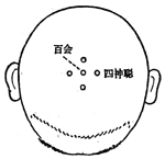 四神聰穴位位置圖-人體穴位查詢