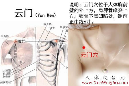 云門穴的準(zhǔn)確位置圖