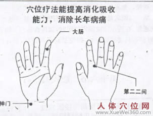 手穴消化系統(tǒng)反射區(qū)