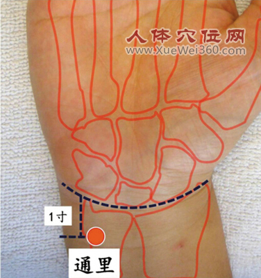 通里穴位位置圖