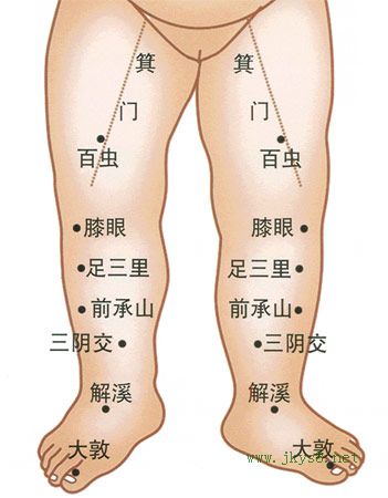 小兒下肢部正面穴位圖