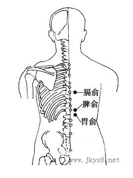 膈俞穴位圖