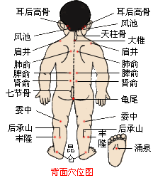 小兒后承山穴