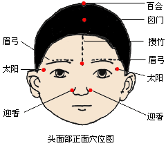 囟門穴