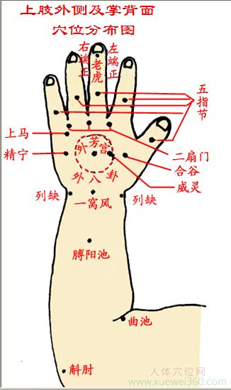 小兒手背穴位圖