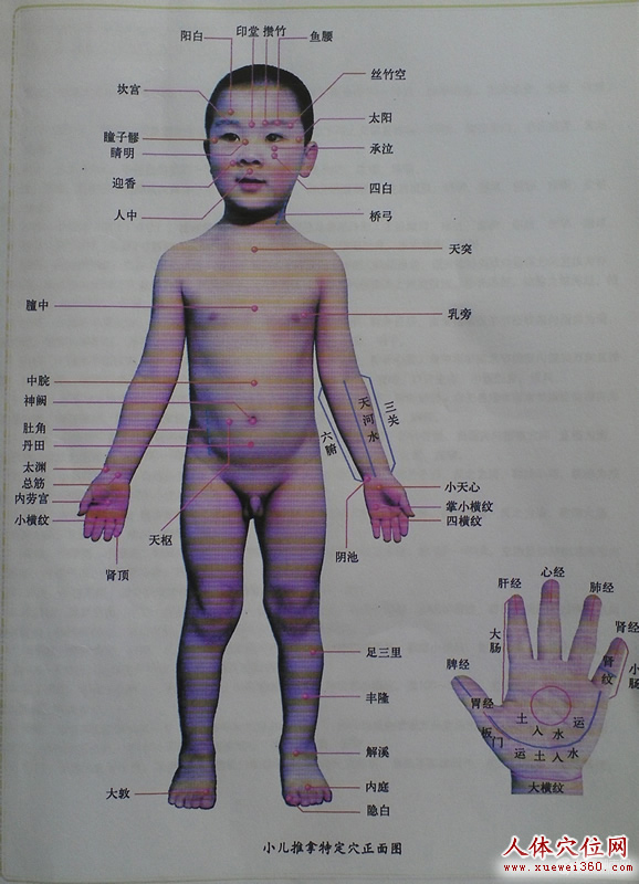 小兒按摩全身正面穴位圖