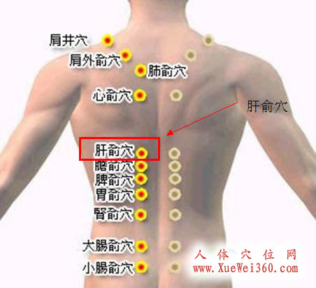 背俞穴_背俞穴位置圖_十二背俞穴歌歌訣_背俞穴主治疾病和作用