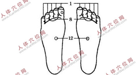 堅(jiān)持手腳穴位按摩可治愈老花眼