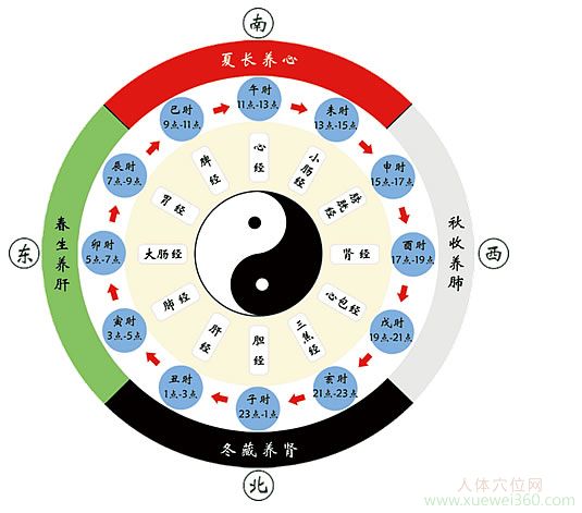 子午流注養(yǎng)生時刻表