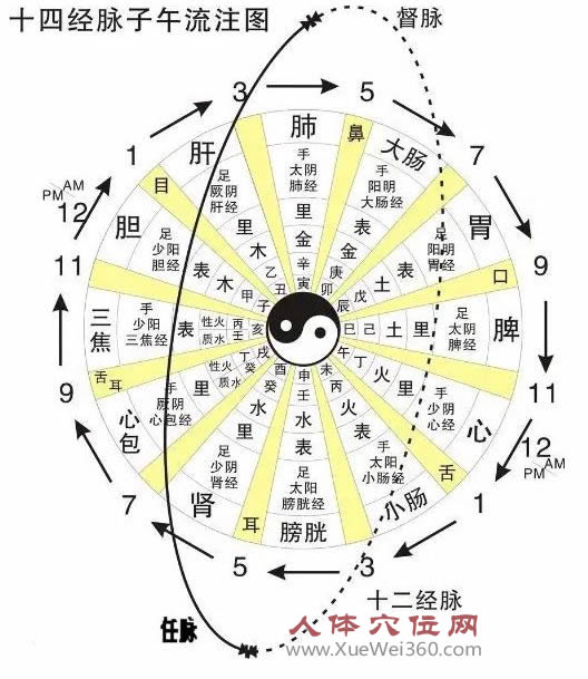 十四經(jīng)脈子午流注完整圖